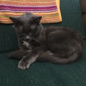 Meet your Posher, Marilyn